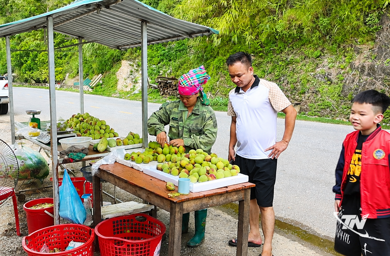 Thái Nguyên: Lên đèo Gió ngắm đào tiên