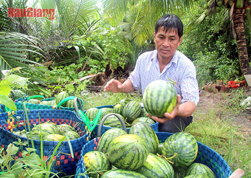 Hậu Giang: Cùng nhau hợp tác phát triển kinh tế gia đình Hậu Giang: Cùng nhau hợp tác phát triển kinh tế gia đình
