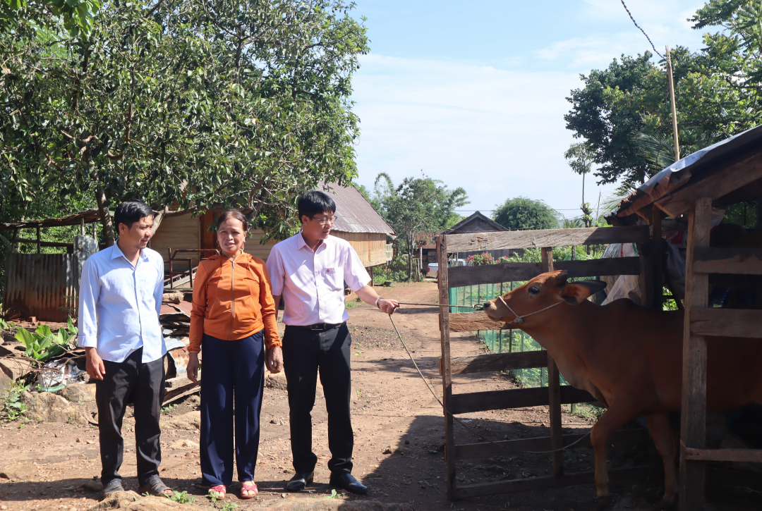 Đắk Lắk: “Cầu nối” đưa vốn tín dụng đến với người nghèo