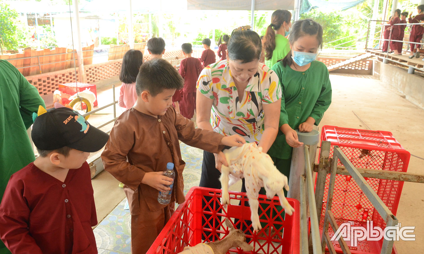 Du khách trải nghiệm tại nông trại dê sữa.