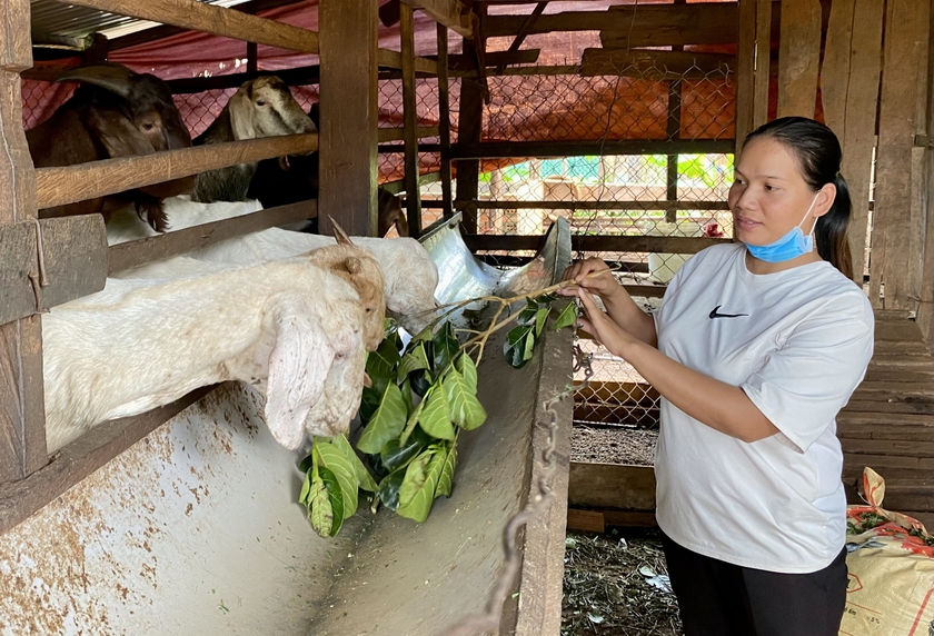 “Đòn bẩy” phát triển vùng đồng bào dân tộc thiểu số ảnh 1