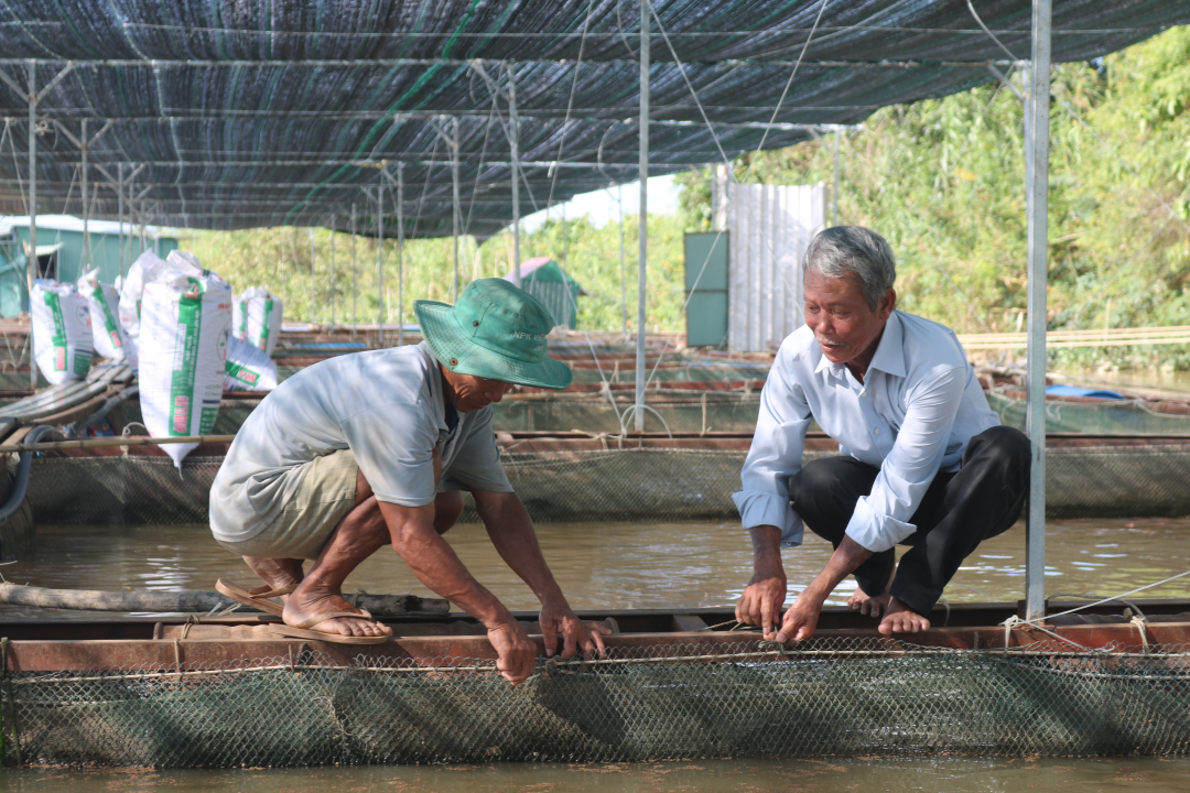 Đắk Lắk: Chủ động bảo vệ thủy sản nuôi trong mùa mưa bão
