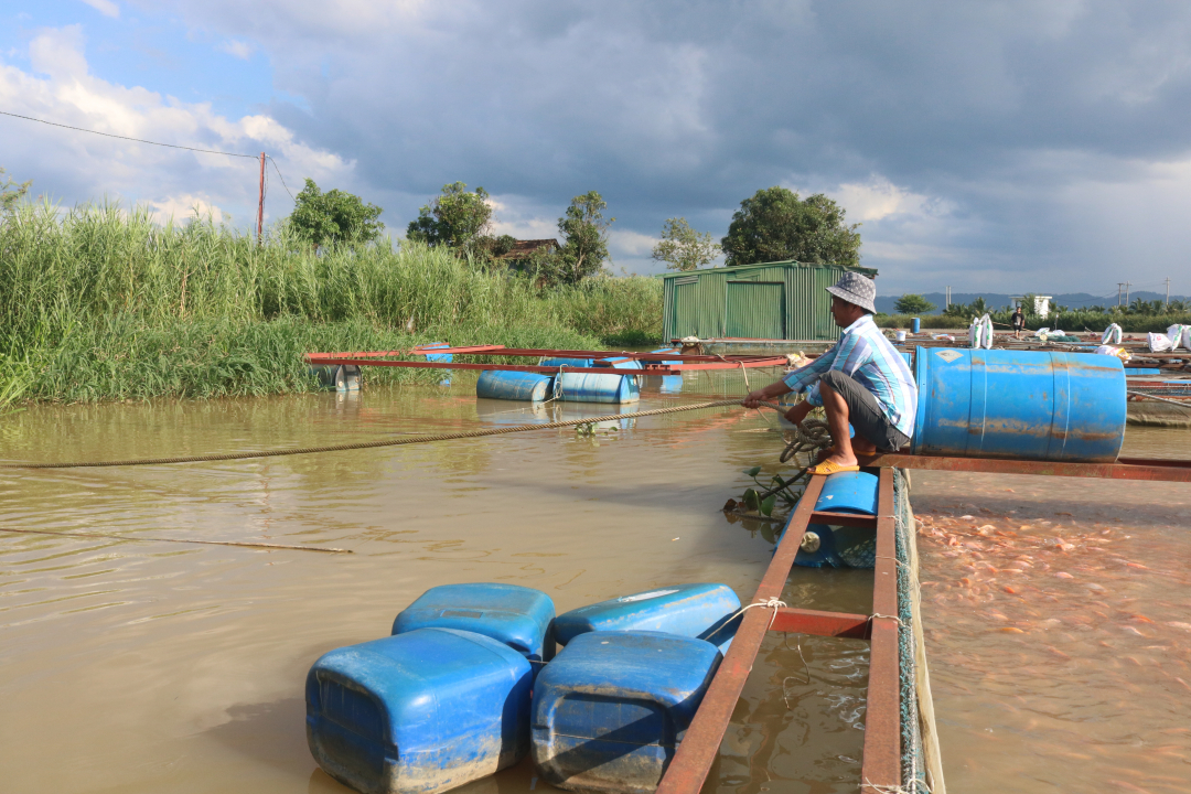 Đắk Lắk: Chủ động bảo vệ thủy sản nuôi trong mùa mưa bão