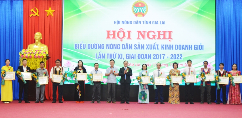 Sức bật từ phong trào nông dân thi đua sản xuất kinh doanh giỏi  ảnh 2