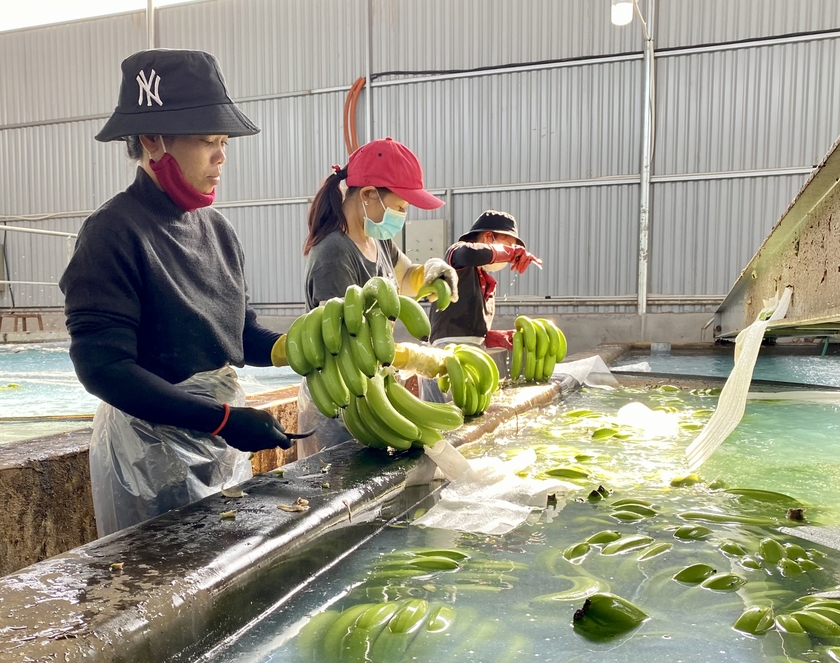 Thu hút nguồn lực đầu tư vào các lĩnh vực tiềm năng ảnh 2