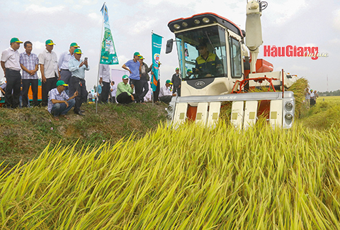 Hậu Giang: Nông nghiệp bứt phá Hậu Giang: Nông nghiệp bứt phá