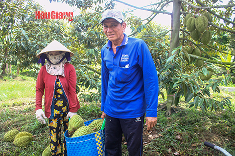 Hậu Giang: Nông nghiệp bứt phá Hậu Giang: Nông nghiệp bứt phá