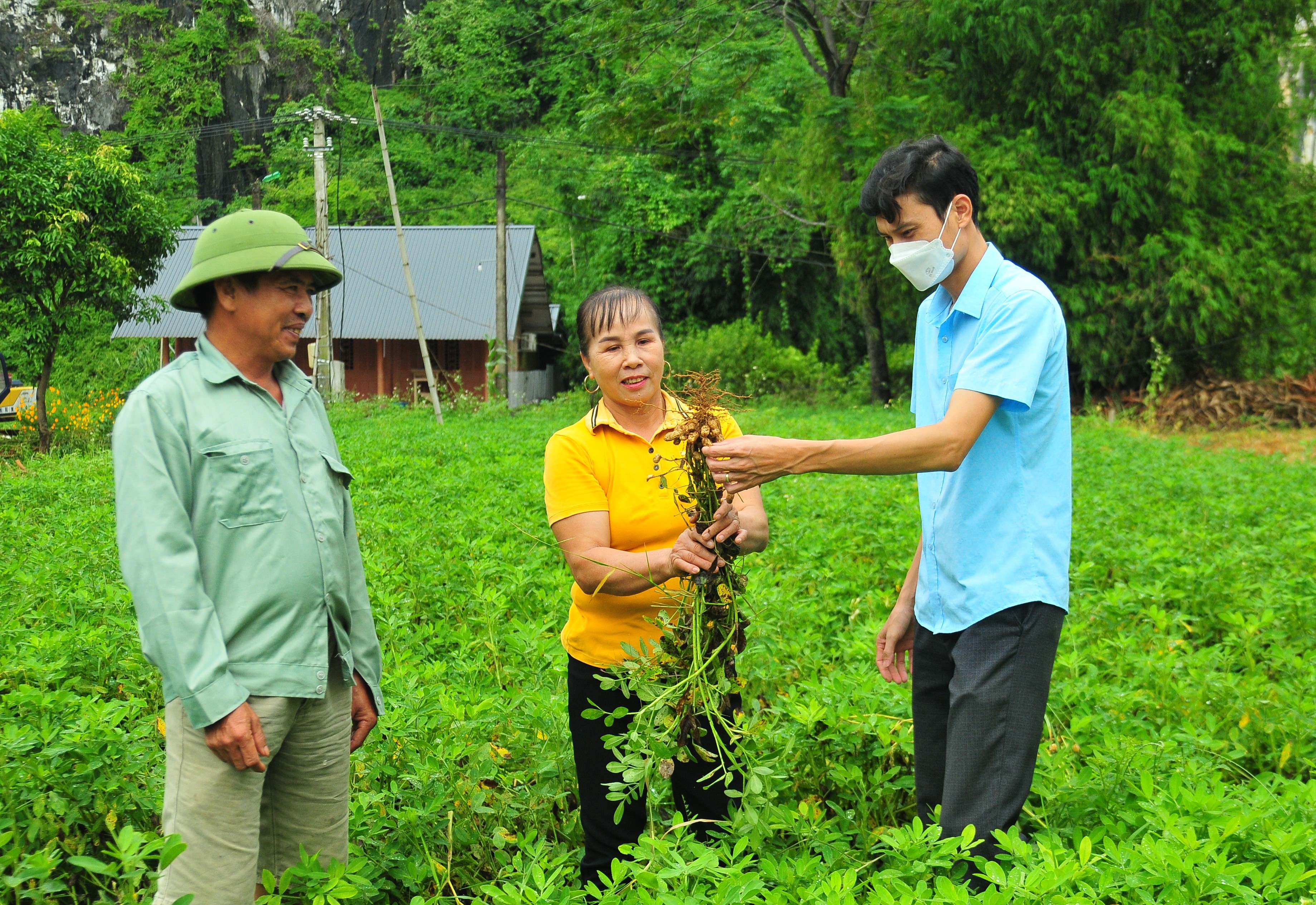 Lào Cai: Chủ động sản xuất và cung ứng nguồn giống chất lượng Lào Cai: Chủ động sản xuất và cung ứng nguồn giống chất lượng