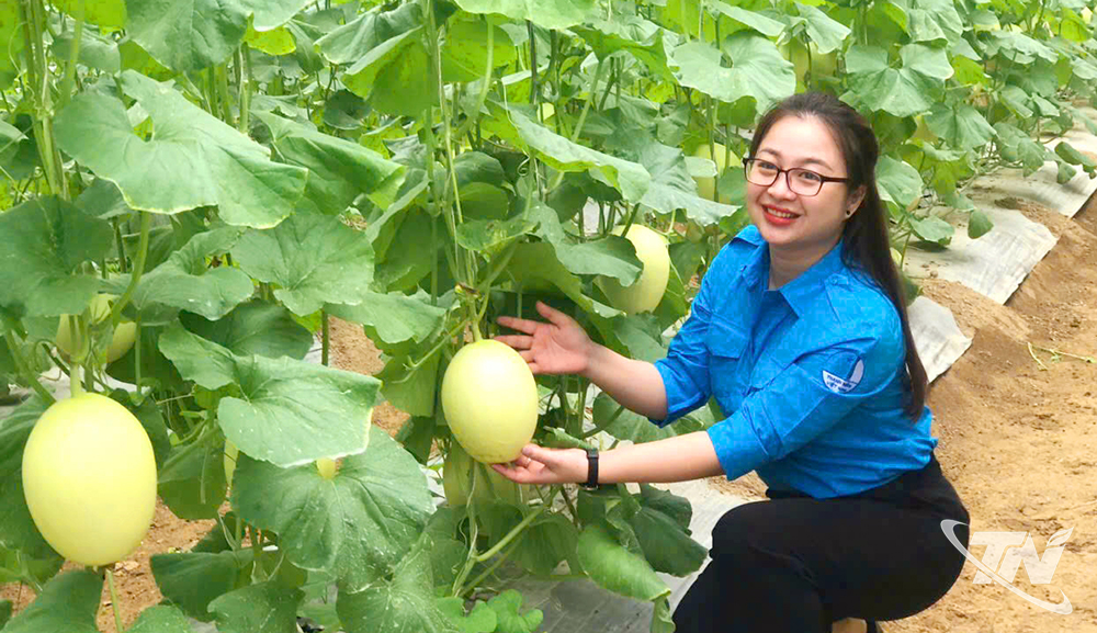 Thái Nguyên: Khai thác tối đa tiềm năng, lợi thế để phát triển Thái Nguyên: Khai thác tối đa tiềm năng, lợi thế để phát triển