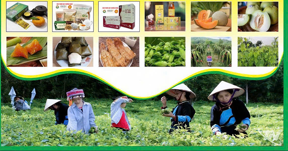 Thái Nguyên: Khai thác tối đa tiềm năng, lợi thế để phát triển Thái Nguyên: Khai thác tối đa tiềm năng, lợi thế để phát triển