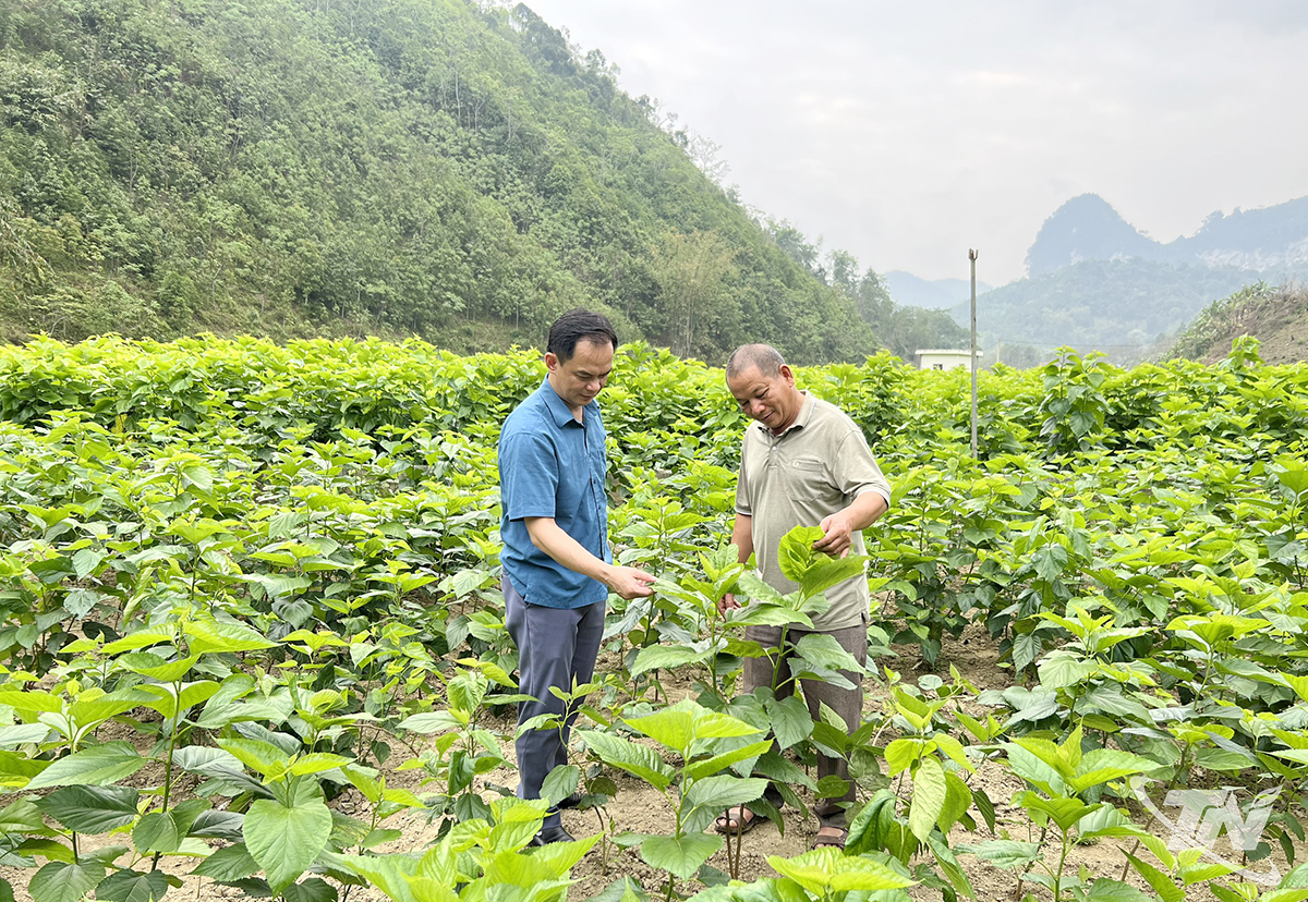 Thái Nguyên: Bằng Thành tập trung phát triển kinh tế nông, lâm nghiệp Thái Nguyên: Bằng Thành tập trung phát triển kinh tế nông, lâm nghiệp