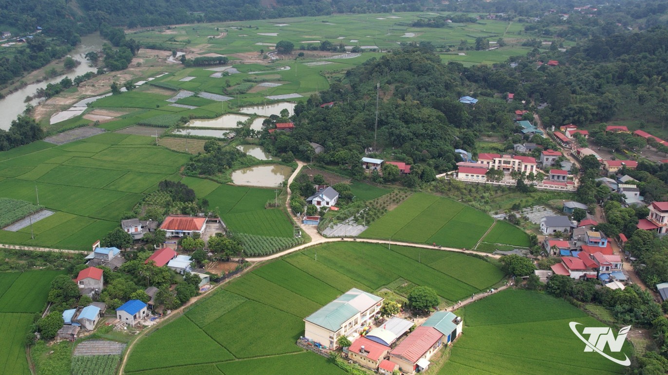 Thái Nguyên: Phát triển nông nghiệp hàng hóa ở Tân Kỳ