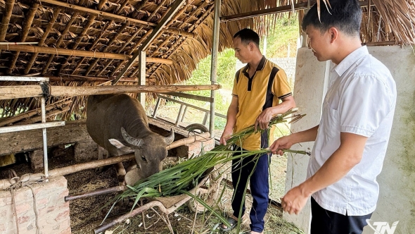 Thái Nguyên: Trao sinh kế, tiếp sức hộ nghèo ở Đức Lương