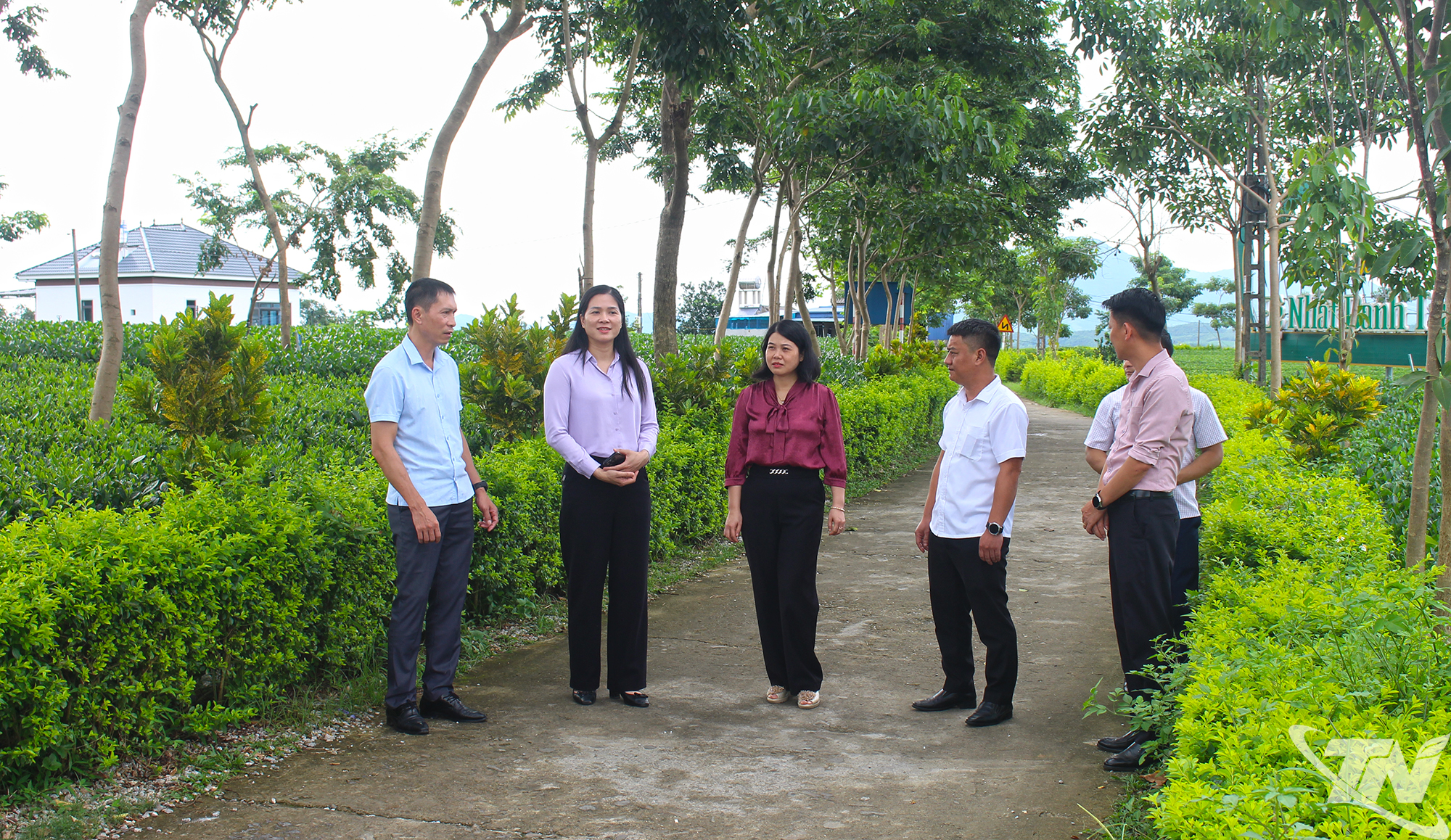 Thái Nguyên: Giám sát công tác phát triển du lịch cộng đồng tại xã La Bằng Đoàn giám sát HĐND tỉnh Thái Nguyên khảo sát tại đồi chè Cầu Đá (xóm Hoàng Nông).