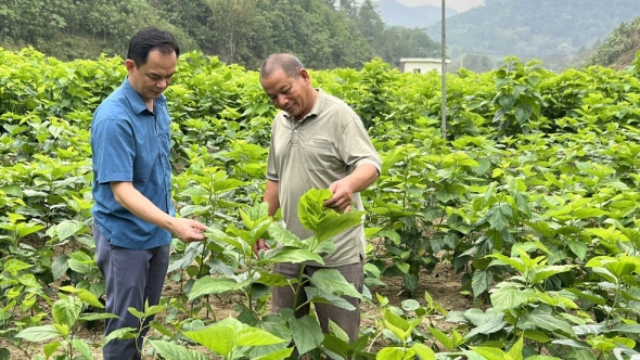 Thái Nguyên: Phát huy nguồn lực, tạo sinh kế bền vững ở vùng cao