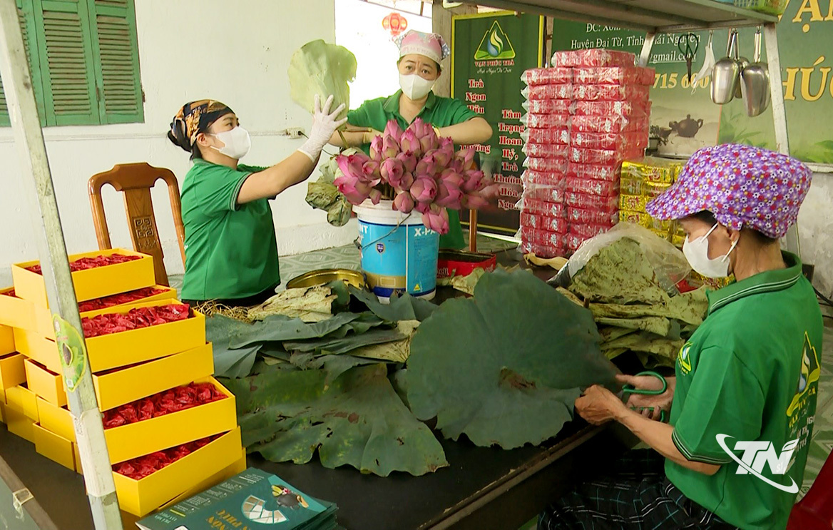 Các thành viên Hợp tác xã Chè Vạn Phúc sản xuất chè sen.