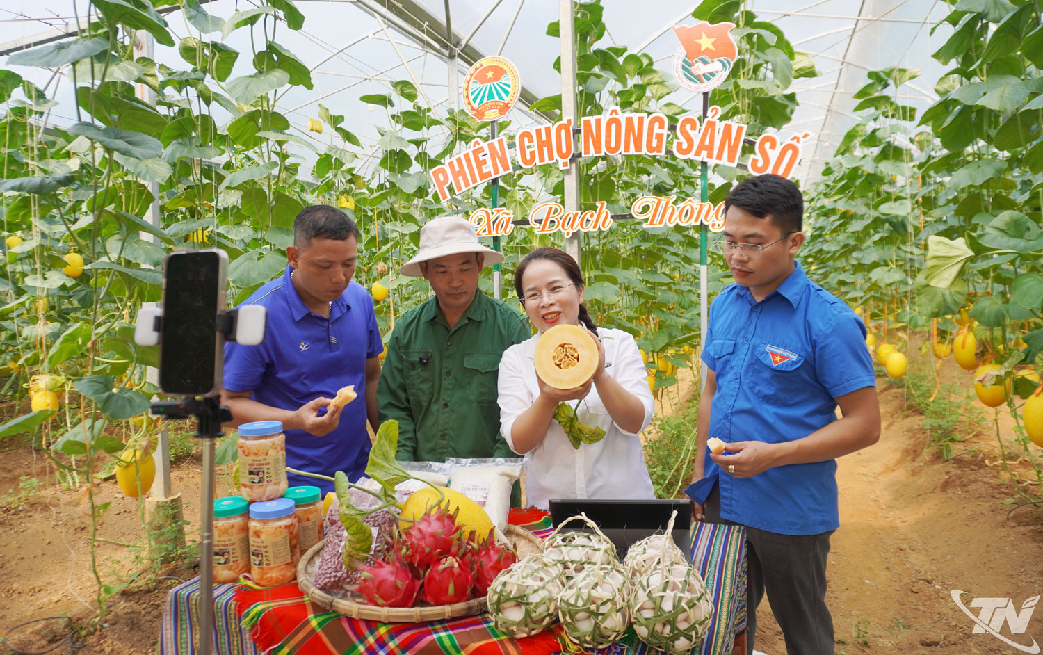 Thái Nguyên: Bạch Thông mở “Phiên chợ Nông sản số” Thái Nguyên: Bạch Thông mở “Phiên chợ Nông sản số”