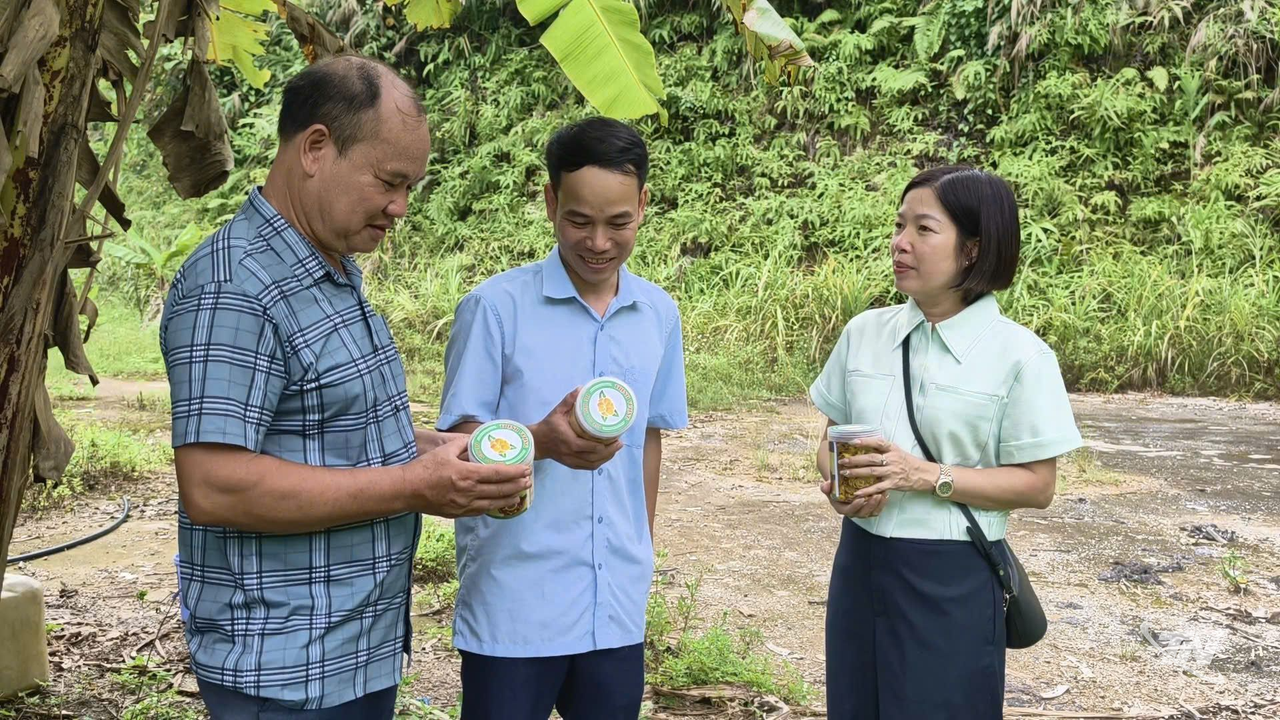 Thái Nguyên: Hỗ trợ người dân xây dựng mô hình phát triển kinh tế mới