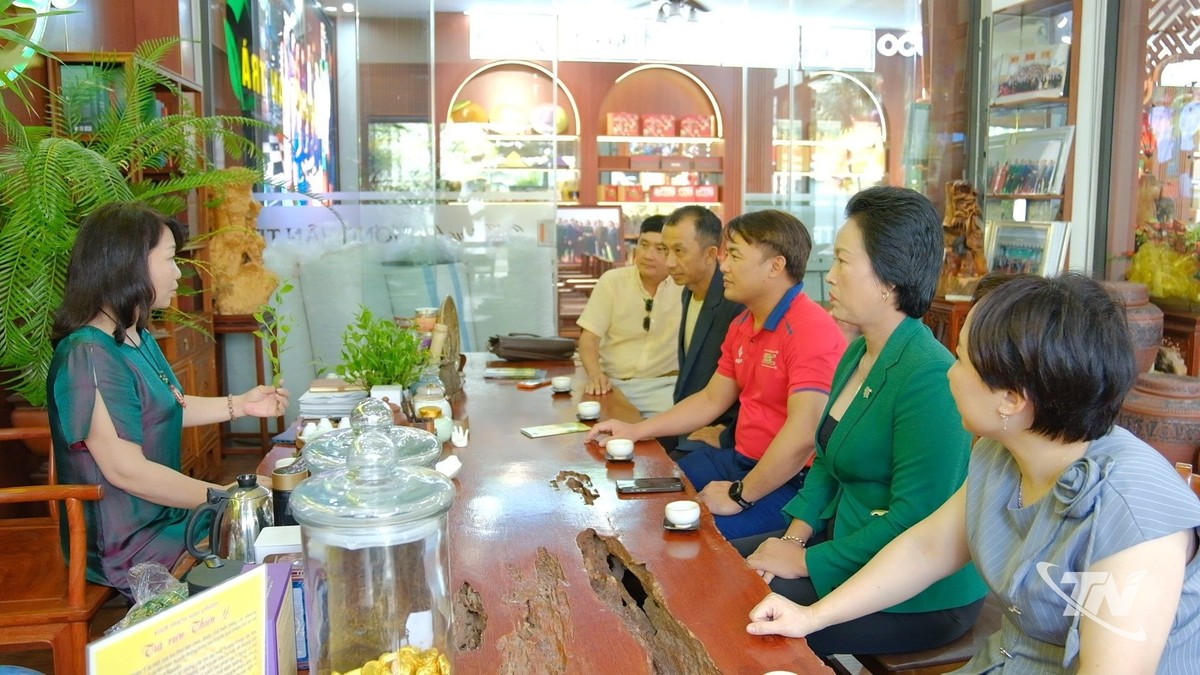 Thái Nguyên: Đánh thức văn hóa trong chén trà
