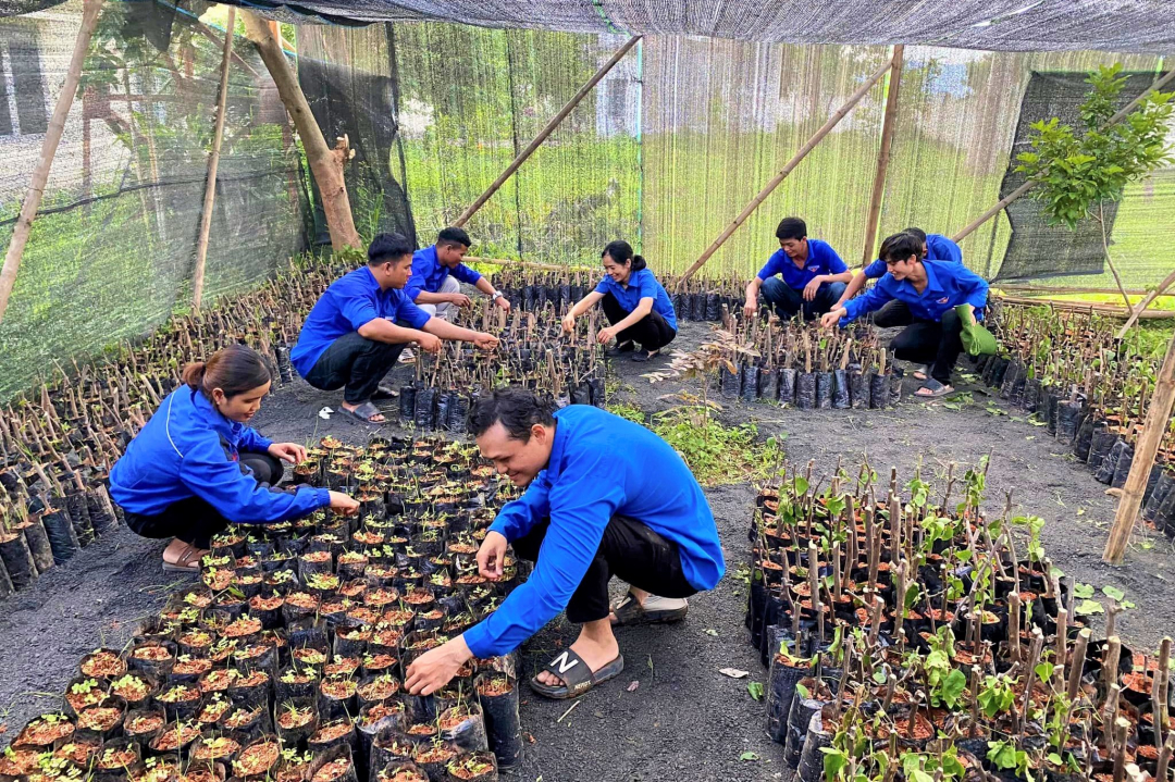 Đắk Lắk: Tô sắc xanh từ “Vườn ươm thanh niên” Đắk Lắk: Tô sắc xanh từ “Vườn ươm thanh niên”