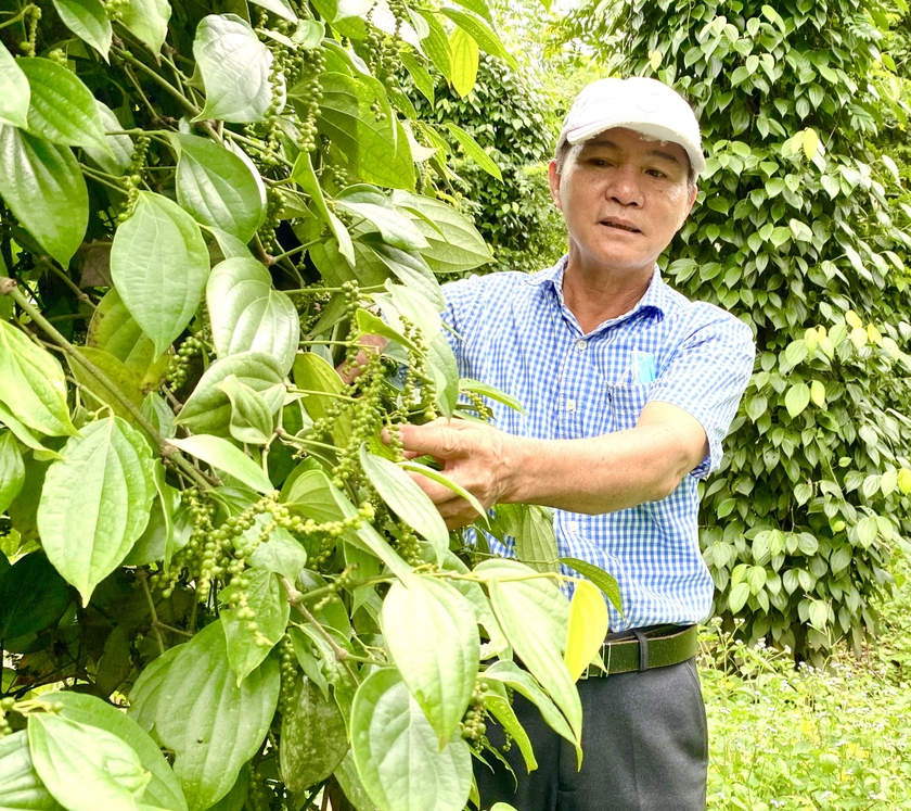 Để tăng trưởng xanh không nằm... trên giấy ảnh 1