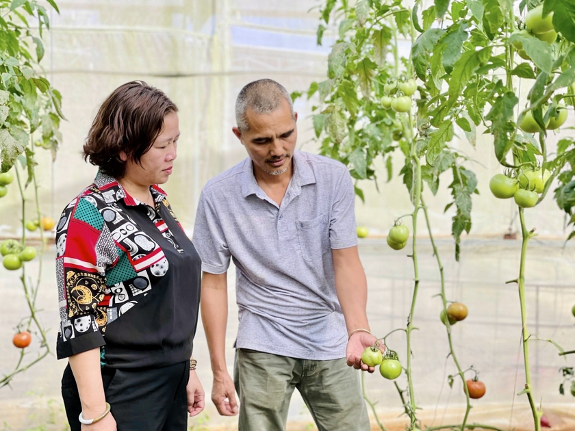 Gia Lai đang phát triển du lịch trên nền tảng nông nghiệp sạch. Ảnh: Trần Dung ảnh 5 Gia Lai đang phát triển du lịch trên nền tảng nông nghiệp sạch. Ảnh: Trần Dung ảnh 5