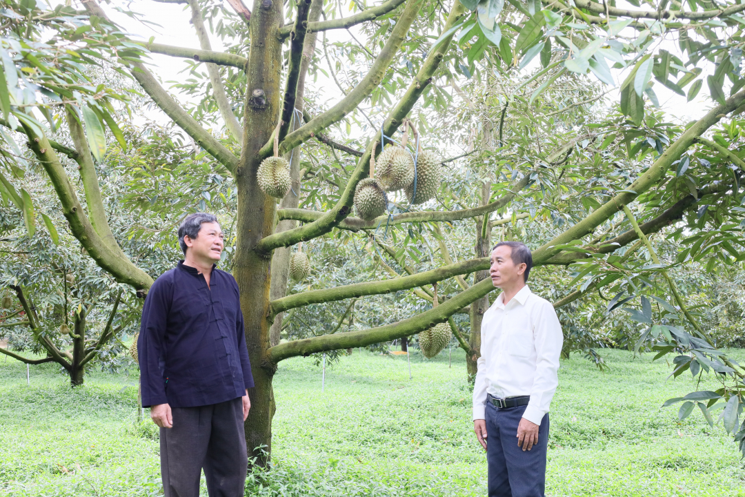 Đắk Lắk: Sức mạnh nội lực cho xây dựng nông thôn mới Đắk Lắk: Sức mạnh nội lực cho xây dựng nông thôn mới