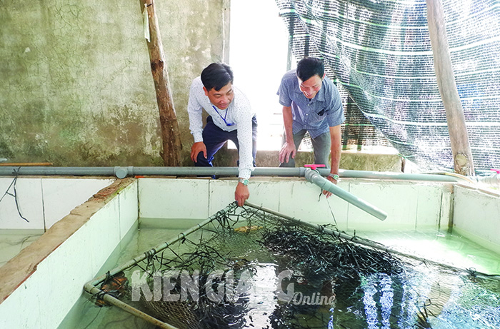 Kiên Giang: Xã Thạnh Đông anh hùng