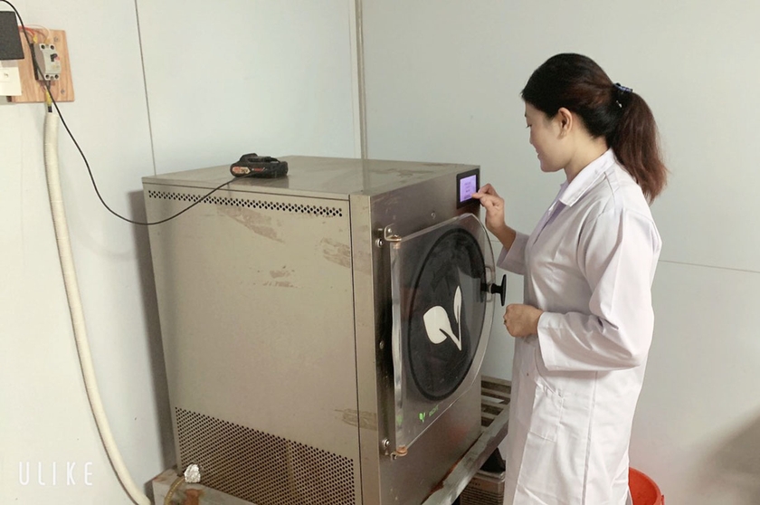 Cơ sở đông trùng hạ thảo Trung Phúc sử dụng máy sấy thăng hoa để giúp sản phẩm giữ được nguyên màu sắc, hương vị và dưỡng chất. Ảnh: P.V ảnh 1