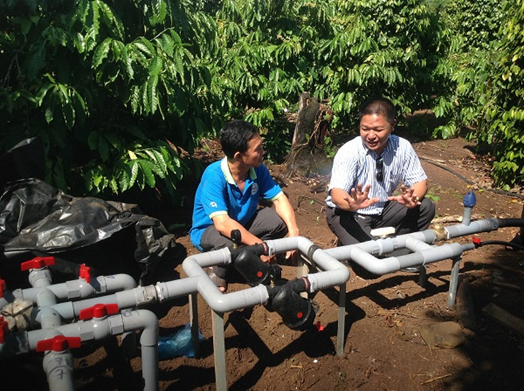 Đắk Lắk: Hiệu quả mô hình chuyển giao ứng dụng tưới tiết kiệm trên cây cà phê
