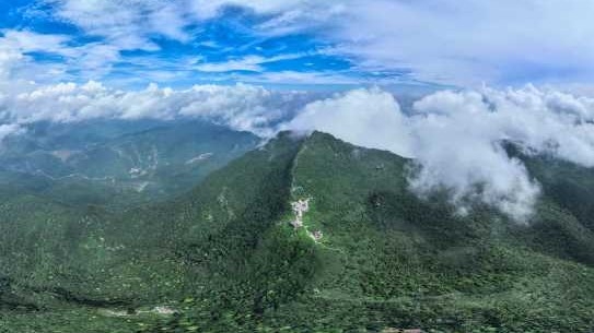 Quảng Ninh: Hợp tác trong bảo tồn, tôn tạo di tích Yên Tử