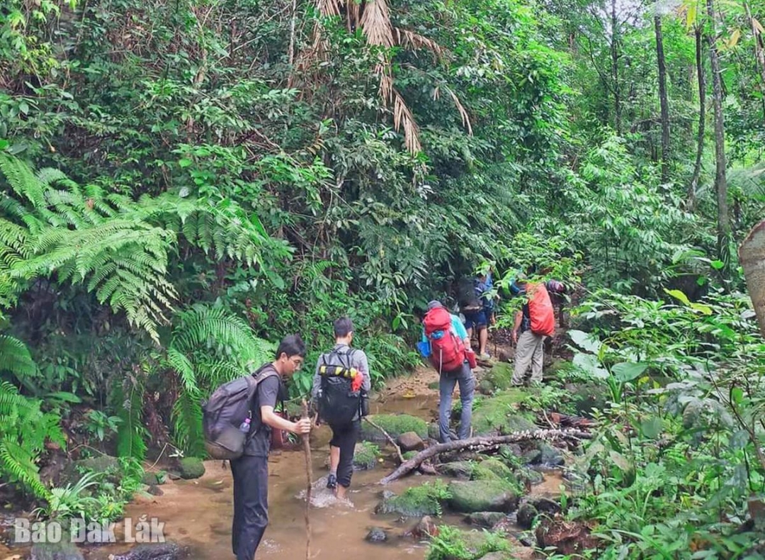 Đắk Lắk: Núi Vọng Phu - kiệt tác của thiên nhiên Đắk Lắk: Núi Vọng Phu kiệt tác của thiên nhiên