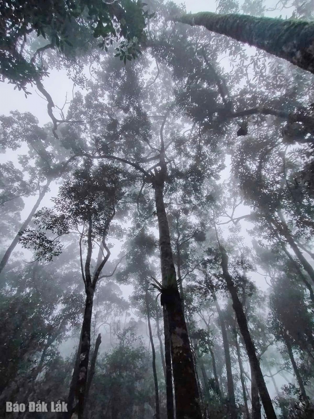 Đắk Lắk: Núi Vọng Phu - kiệt tác của thiên nhiên Đắk Lắk: Núi Vọng Phu kiệt tác của thiên nhiên