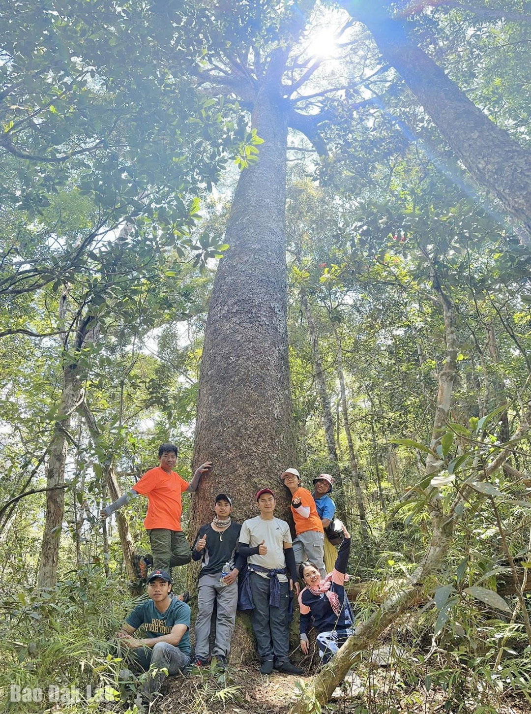 Đắk Lắk: Núi Vọng Phu - kiệt tác của thiên nhiên Đắk Lắk: Núi Vọng Phu kiệt tác của thiên nhiên
