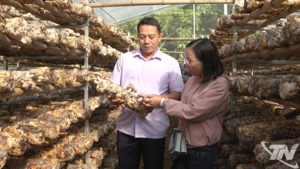 Thái Nguyên: OCOP - Nâng tầm nông sản