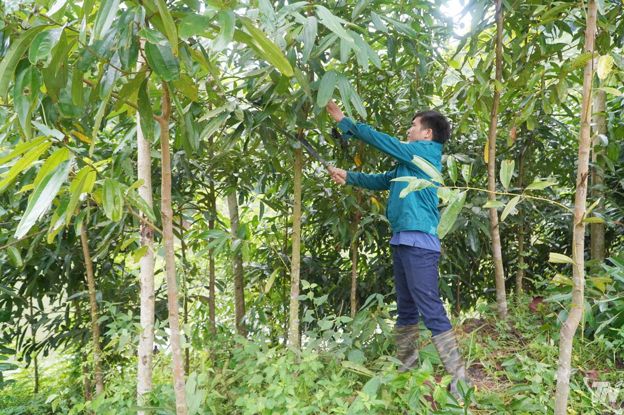 Thái Nguyên: Đánh thức ‘nguồn lực xanh’