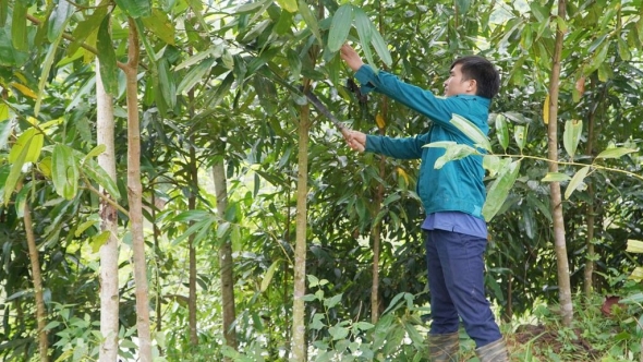 Thái Nguyên: Đánh thức ‘nguồn lực xanh’