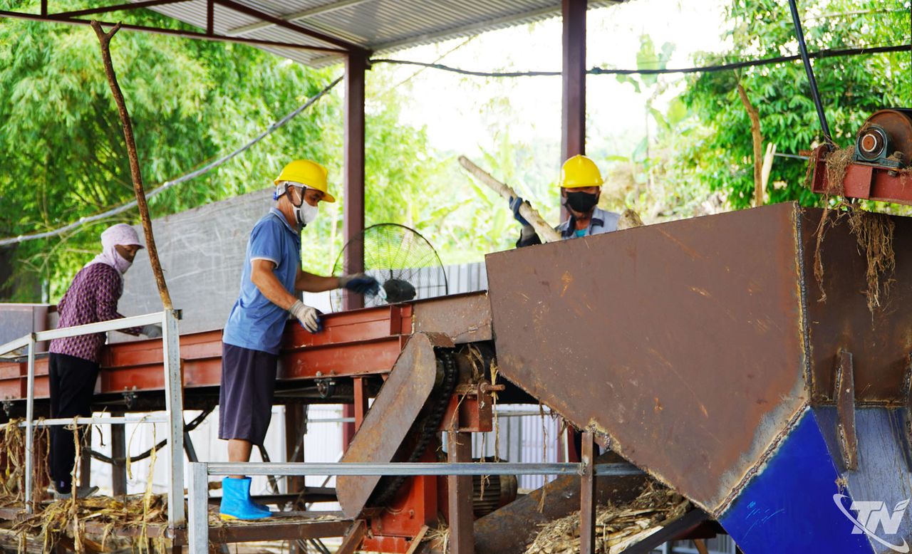 Thái Nguyên: Đánh thức ‘nguồn lực xanh’