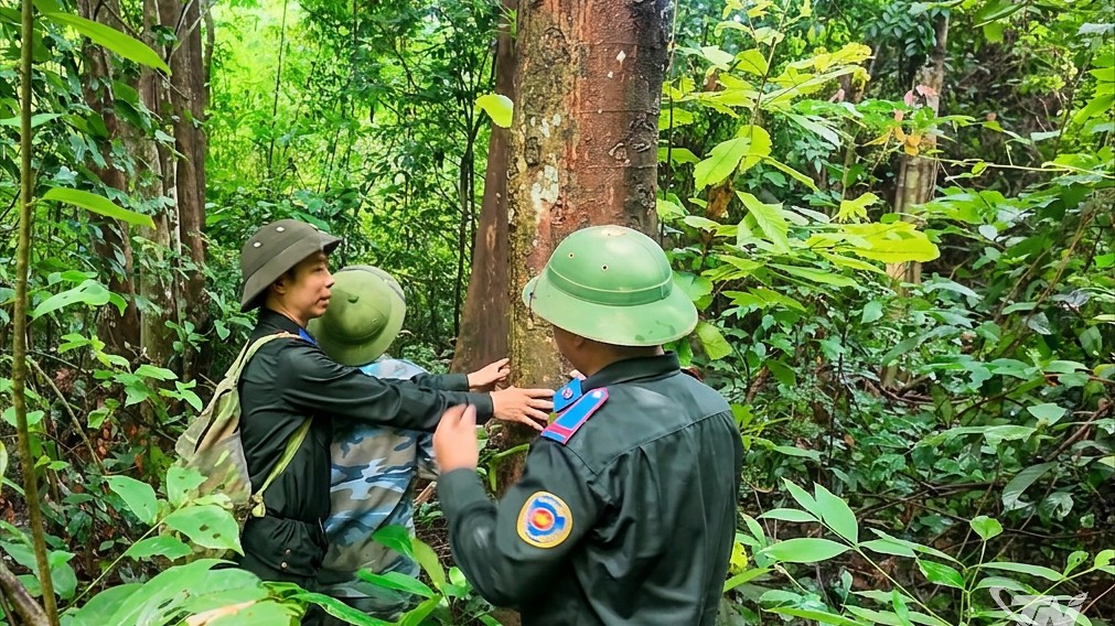 Thái Nguyên: Bước chân lặng lẽ giữ rừng