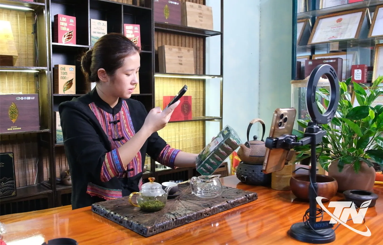 Nâng cao giá trị từ mã nhận diện thương hiệu "Chè Thái Nguyên"