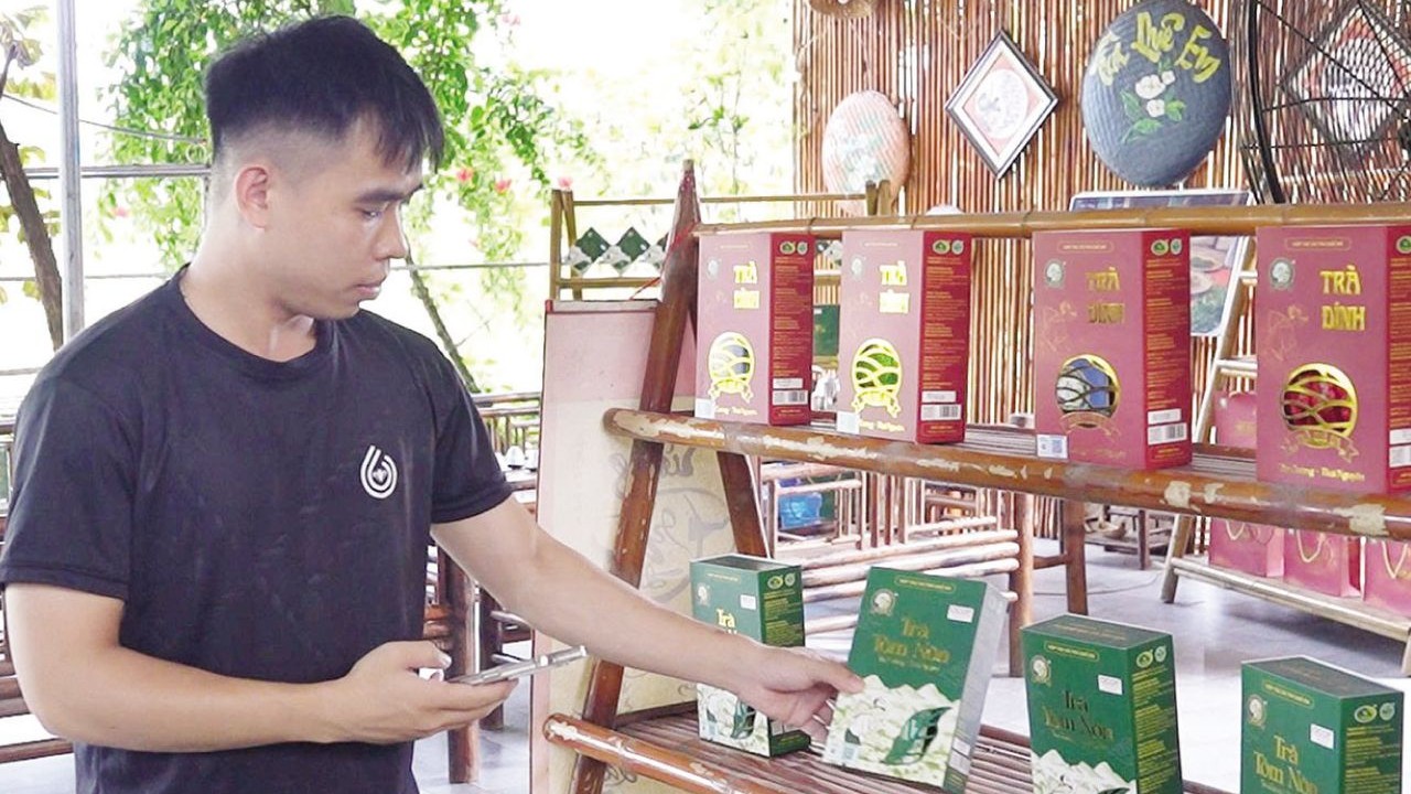 Nâng cao giá trị từ mã nhận diện thương hiệu "Chè Thái Nguyên"
