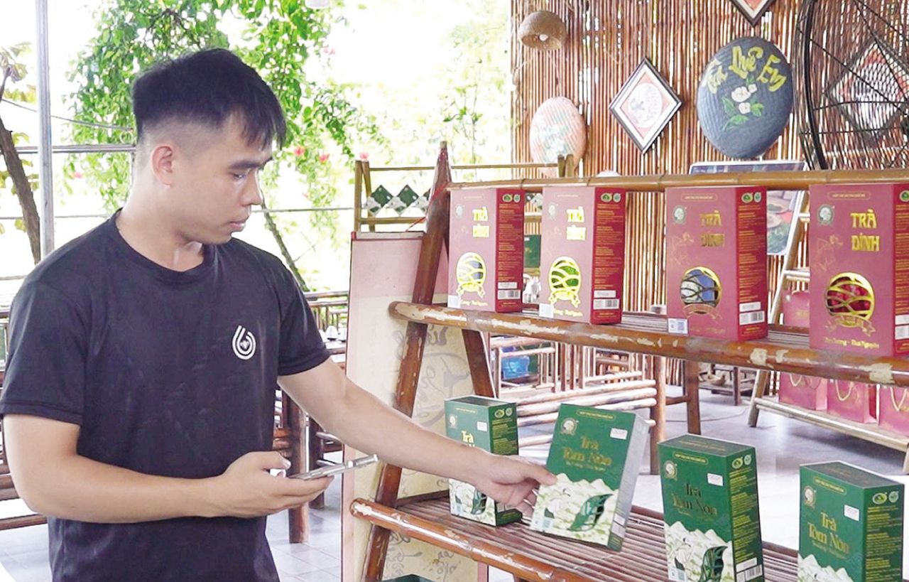 Nâng cao giá trị từ mã nhận diện thương hiệu "Chè Thái Nguyên"