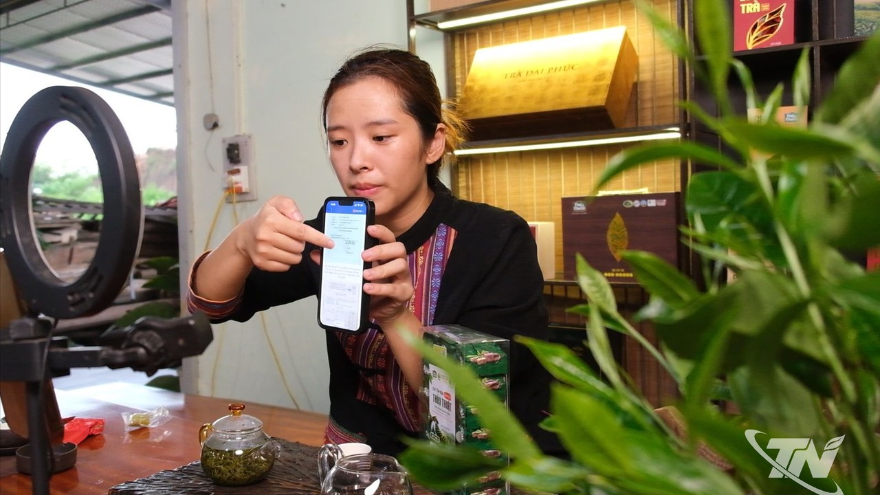 Thái Nguyên: Chuyển đổi số thúc đẩy tăng trưởng ngành chè