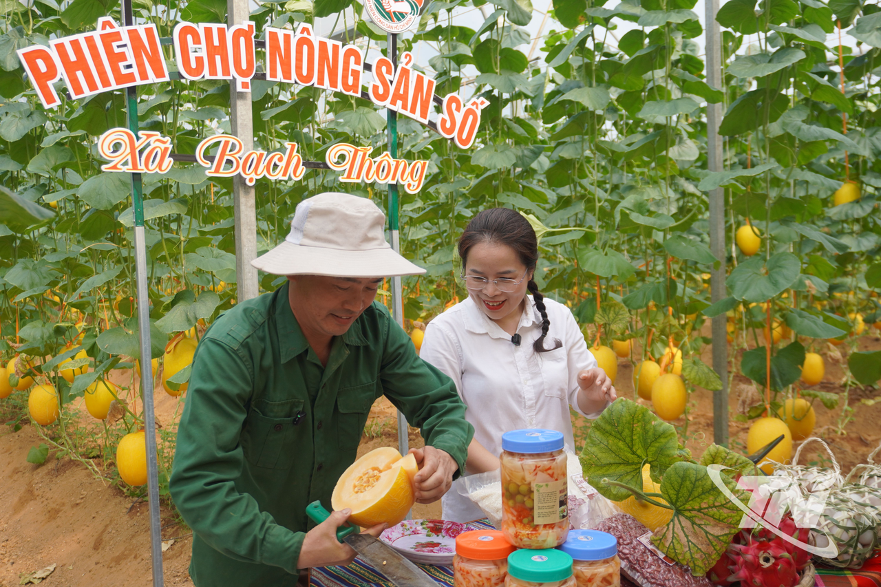 Thái Nguyên: Nông dân vùng cao bắt nhịp thị trường số