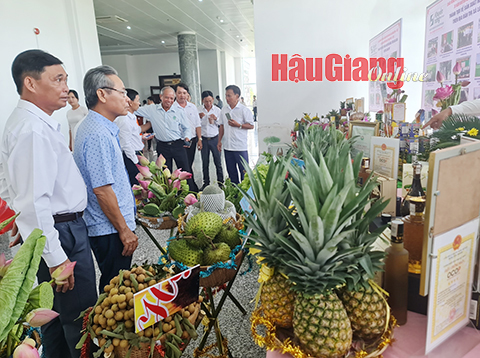 Hậu Giang: Đẩy mạnh phát triển sản phẩm OCOP Hậu Giang: Đẩy mạnh phát triển sản phẩm OCOP