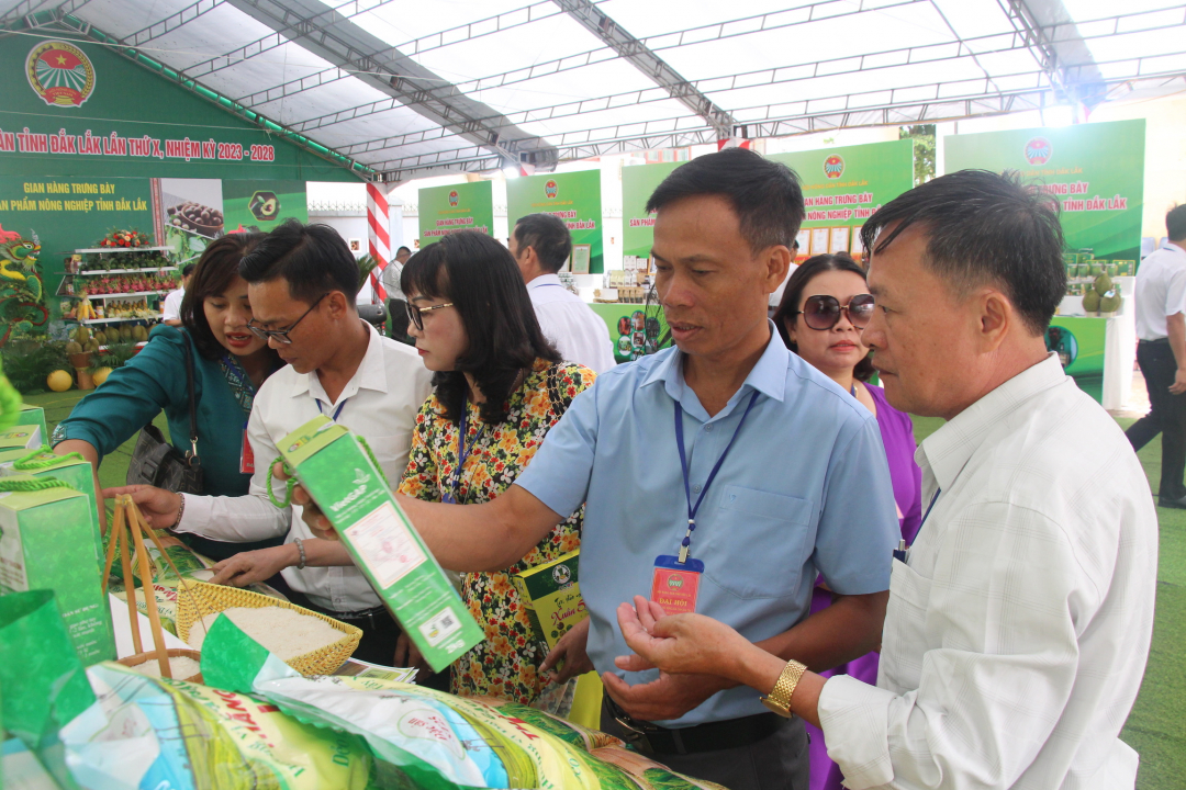 Đắk Lắk: Đồng hành cùng nông dân phát triển sản xuất