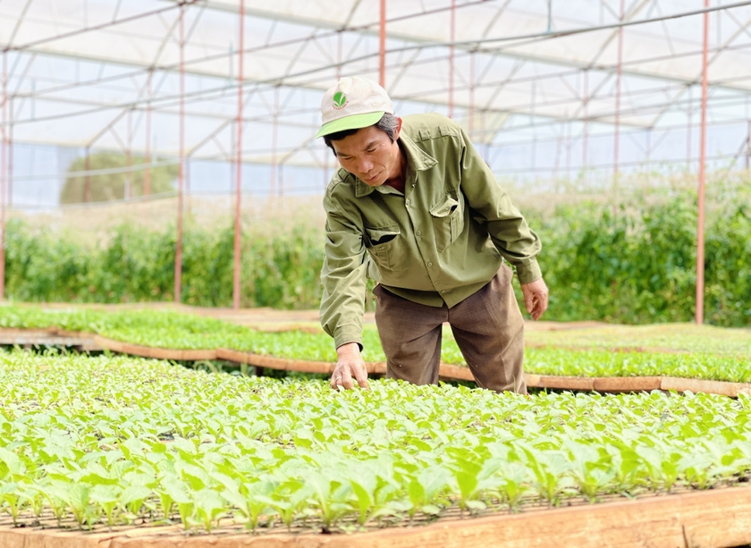 Sản xuất theo mô hình VietGAP giúp người dân nâng cao nhận thức về thực hành nông nghiệp sạch. Ảnh: Mai Ka ảnh 1