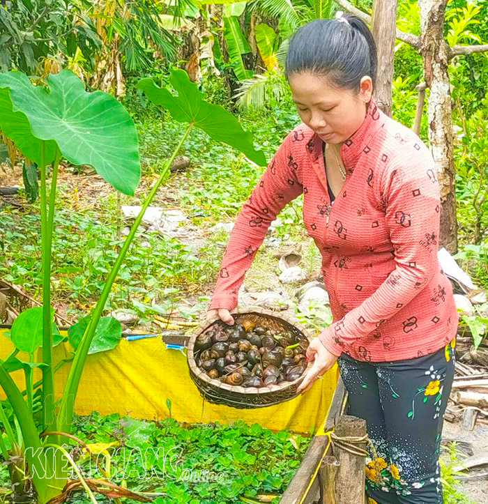 Kiên Giang: Khởi nghiệp bằng tài nguyên bản địa