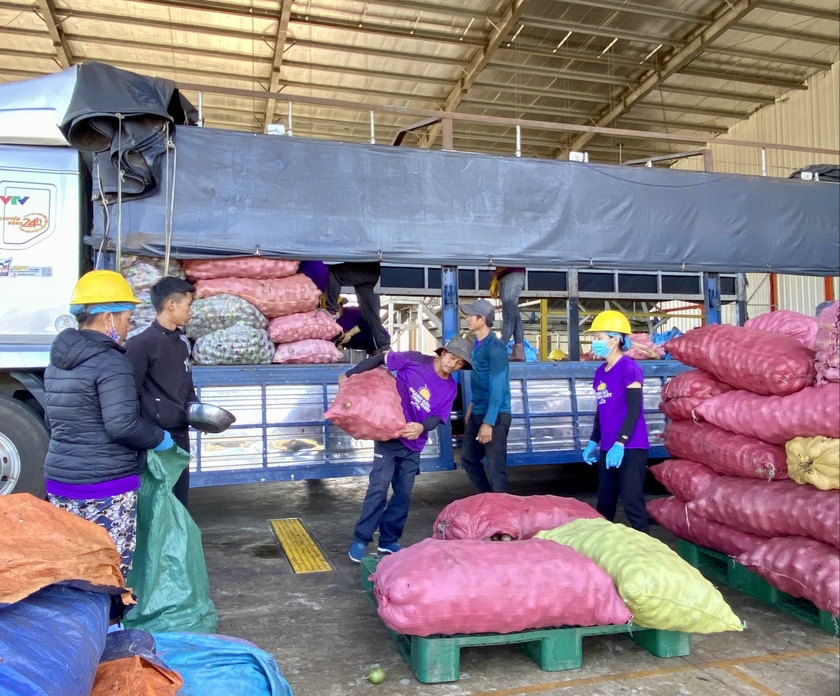 Tập kết chanh dây tại Nhà máy chế biến chanh dây Quicornac. Ảnh: Hà Duy ảnh 3