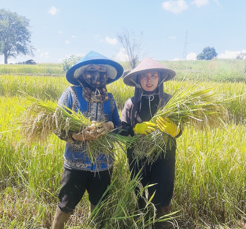 Chị Siu Tim (bìa phải, làng Greo Pết, xã Dun, huyện Chư Sê) đã mua thêm đất phục vụ sản xuất sau khi đi xuất khẩu lao động. Ảnh: M.K ảnh 1